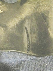 Fairing repair 2-05.jpg