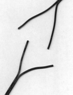 File:SigmaBrent 3.jpg