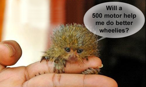 500 motor.jpg