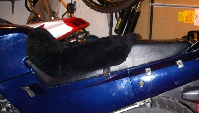 File:IMGP4609.jpg