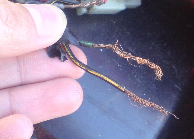 File:Molex2 03.jpg