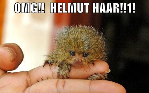 Helmet hair 2.JPG
