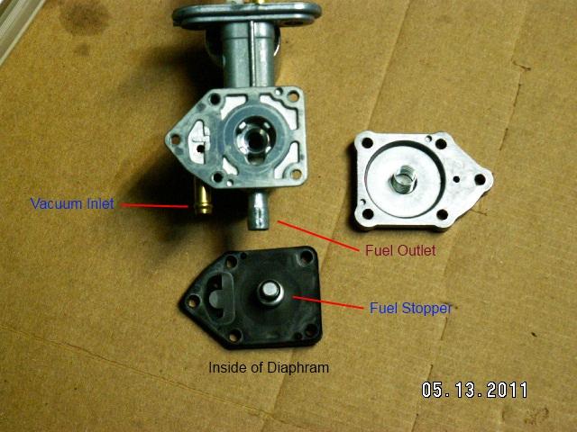 File:3 Step2 Dphrm rmvd.jpg