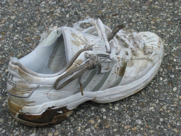 File:Shoe.jpg