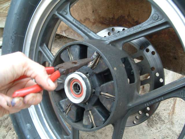 File:Cush drive 3.jpg