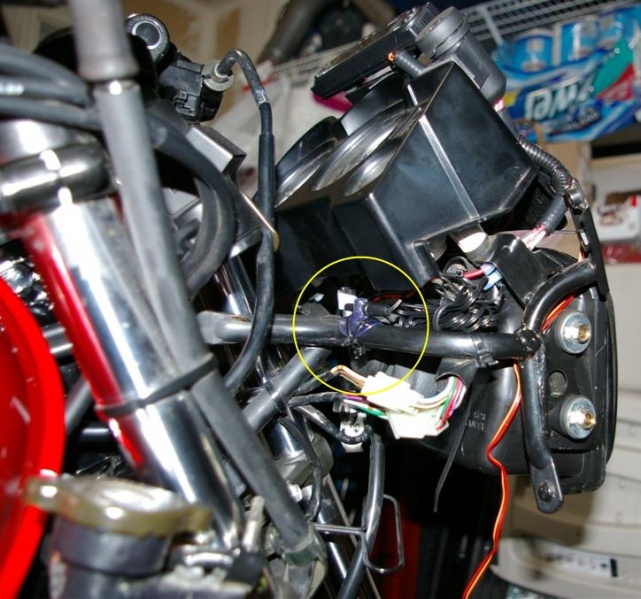 File:IMGP6201-2.jpg