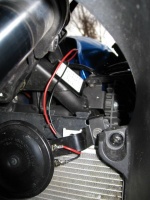 Horn 6.jpg