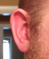 Thumbnail for version as of 10:38, 2 April 2009