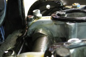 IMG 2291-c-1024.JPG