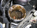 Thumbnail for version as of 00:08, 5 August 2010