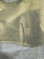 Thumbnail for version as of 00:05, 7 March 2009