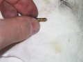 Thumbnail for version as of 11:49, 3 June 2006