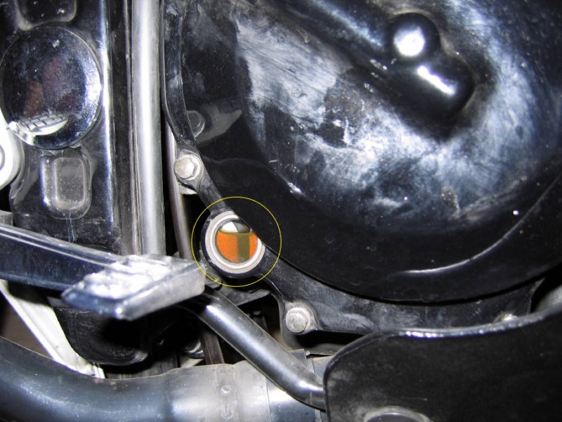 File:Img 3239.jpg