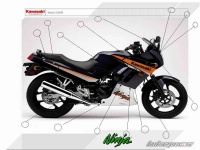 Ninja2005RightFairingScrews.jpg