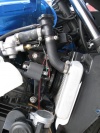Horn 4.jpg