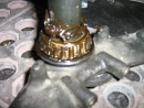 IMG 5702.jpg