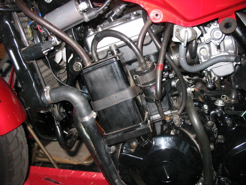 File:IMG 1021.jpg