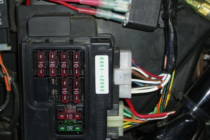 File:Buss-9.jpg