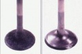 Thumbnail for version as of 16:19, 29 May 2006