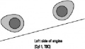 Thumbnail for version as of 14:50, 29 May 2006