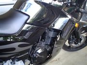 Mesh grills 1.jpg