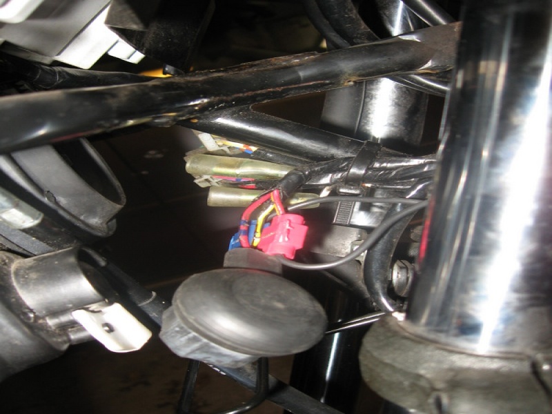 File:IMG 0694.jpg