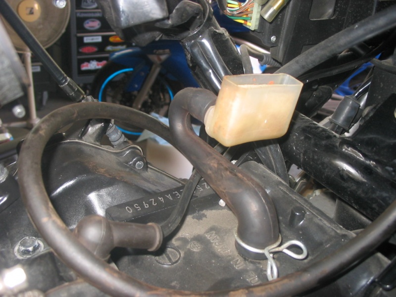 File:IMG 2325.jpg