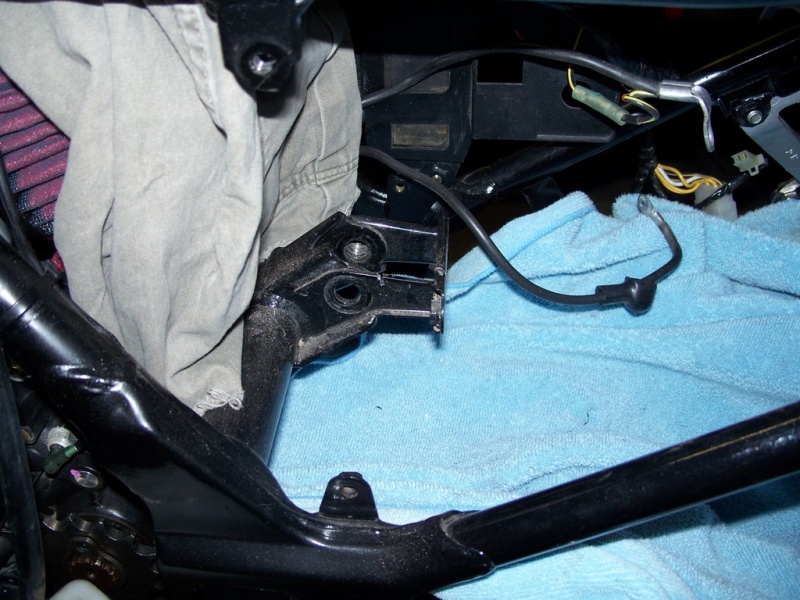 File:Fox-02.jpg