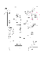 Thumbnail for version as of 18:08, 4 August 2010