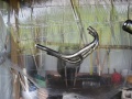 Thumbnail for version as of 21:41, 28 May 2008
