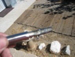 IMG 7356.jpg