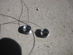 IMG 7349.jpg