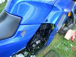 Mesh grills 19.jpg