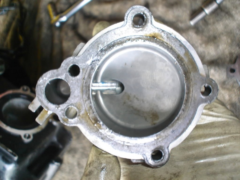 File:DSC04366-2.jpg
