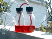 Baby bottles.jpg