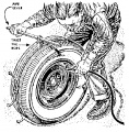 Thumbnail for version as of 01:44, 27 September 2010